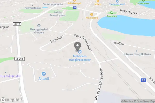 Aktiebolaget G. Mobackes Blomsterodling - Bollnäs