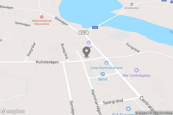 Åsa's Blommor - Hammarstrand
