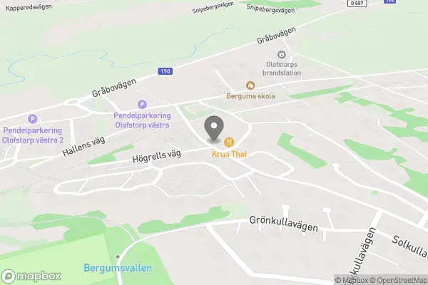 Blommor - Olofstorp