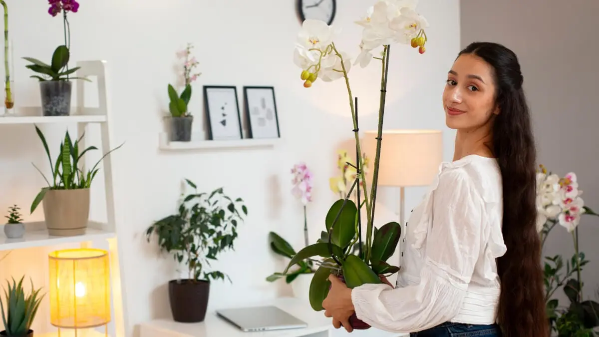 Få blommor att blomma med dessa enkla tips! illustration