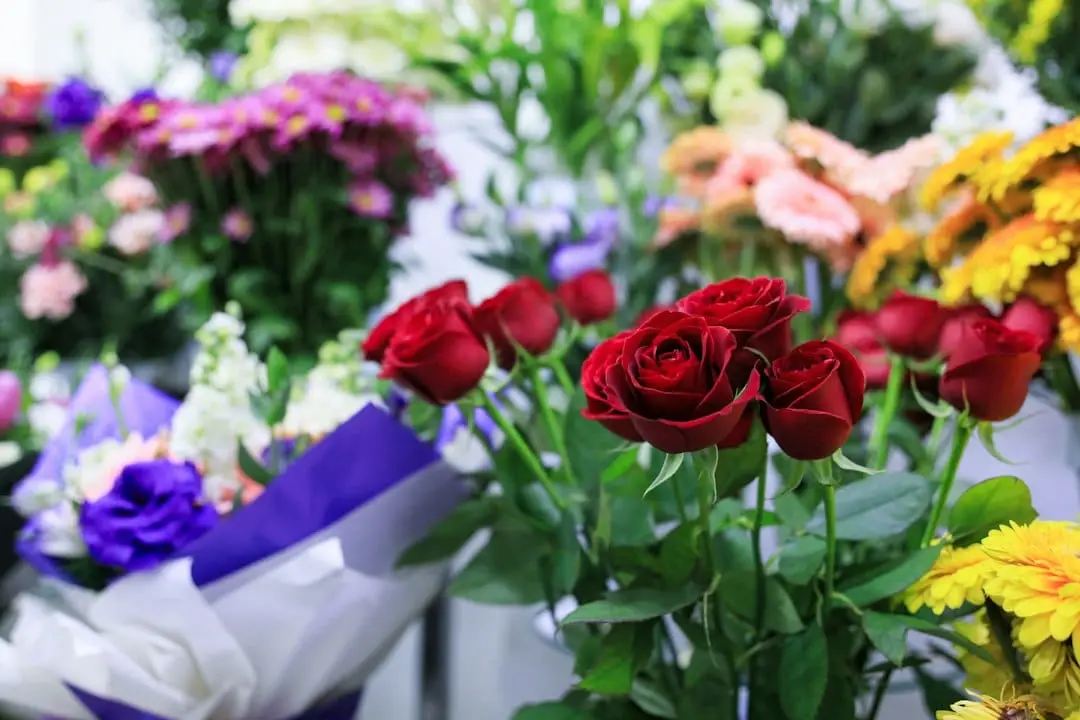 De bästa blommorna att ge som gåva vid olika tillfällen illustration