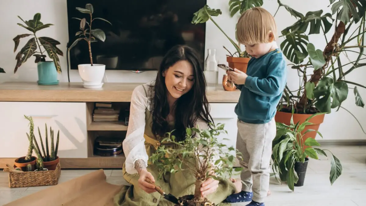 Guide till giftfria växter för barnfamiljer