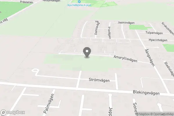 Olles Blommor AB - Kristianstad
