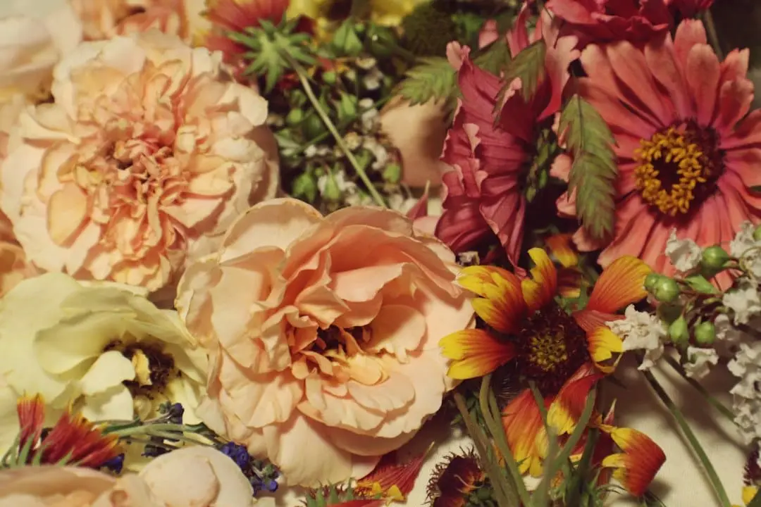 Tips för att hålla blommor fräscha längre illustration