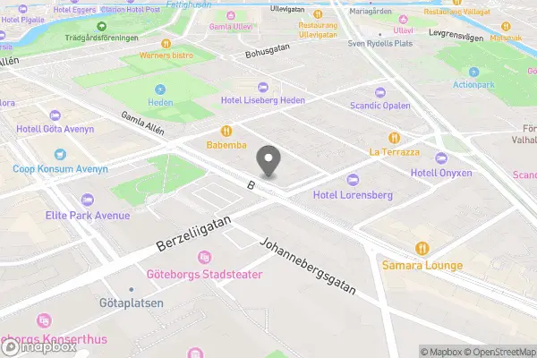 Viola Blomsterbutik - Göteborg